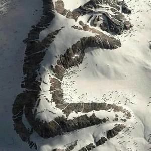 Meet your Posher, Trish